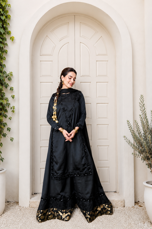 Elara black silk embroidered 3 piece suit for women - full front view | Anabiyawear