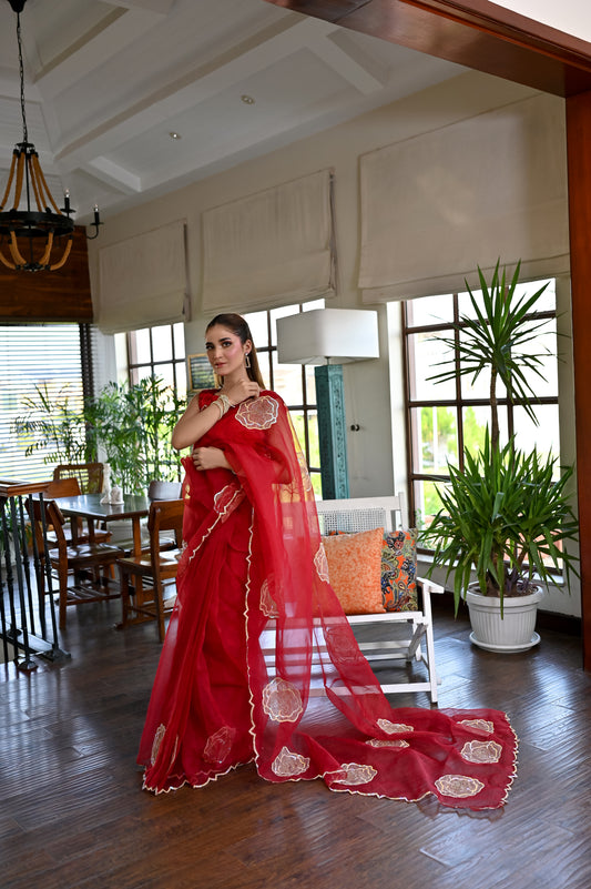 Rangreze – Luxury Red Organza Saree
