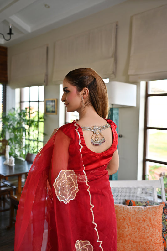 Laal Naz red organza saree showcasing embroidered blouse back and decorative border detailing
