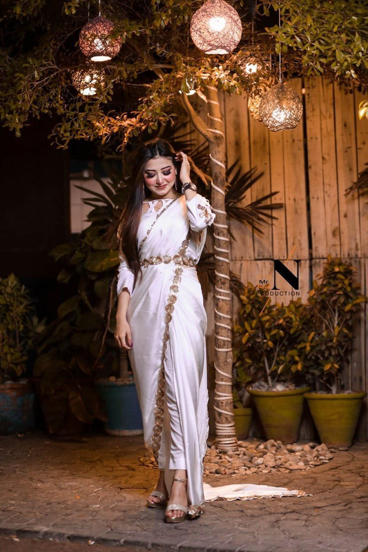 Pant Saree