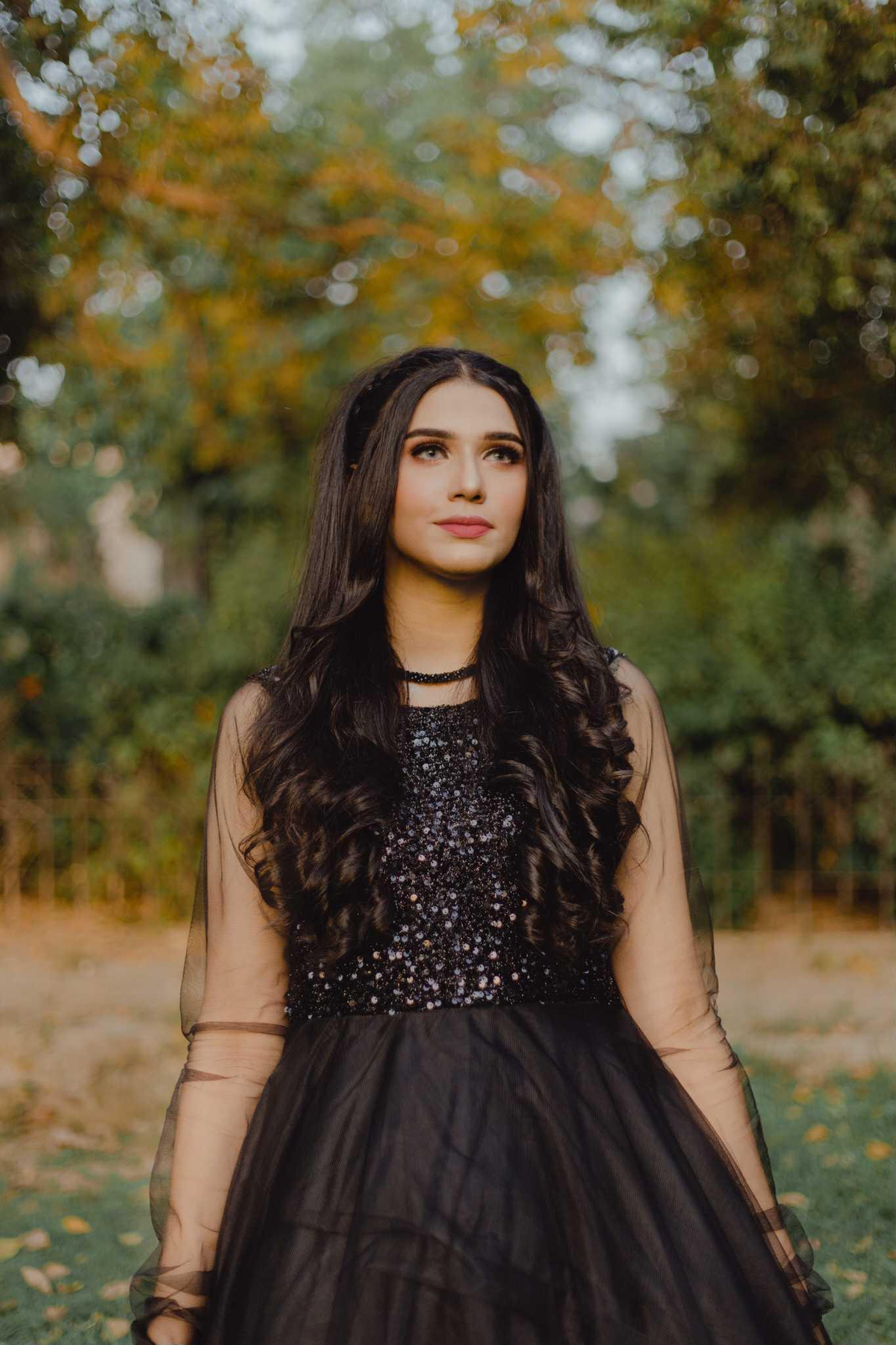 QUEEN OF NIGHT