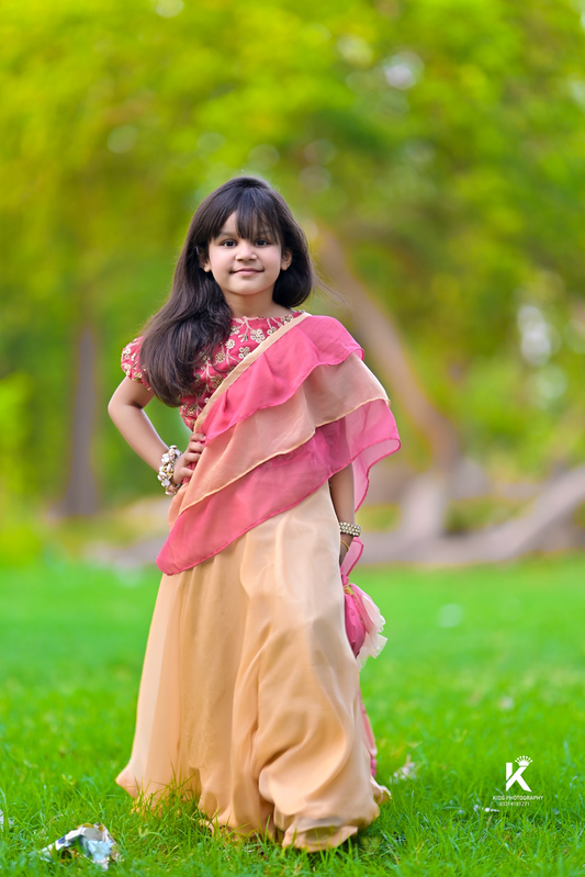 Lahnga Saree