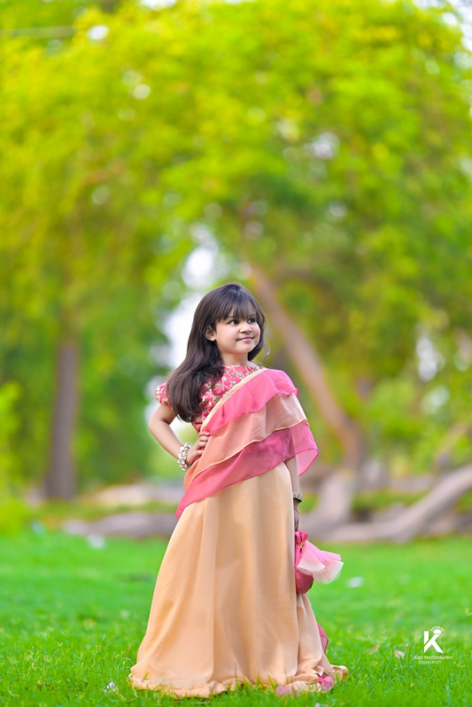 Lahnga Saree