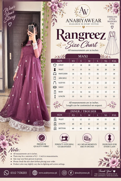 Rangrez Plum Organza Frock