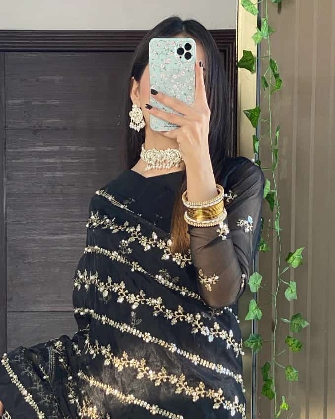 Andleep Black Organza Saree with Indian Tilla Embroidery
