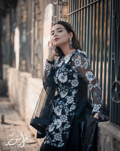 Horiya Black 3D Bareeza Net Dress