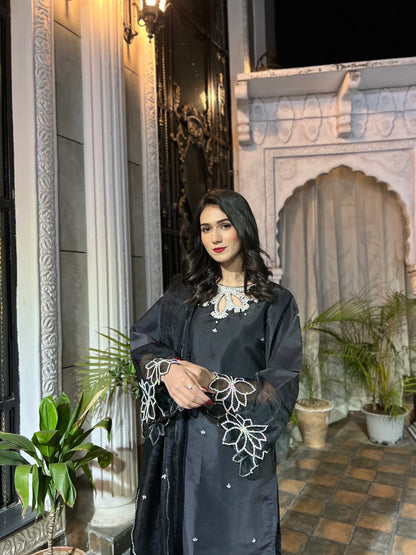 Bulbul Black Katan silk 3 piece featuring silver Mukesh accents, crystal embellishment and decorative sleeve motifs