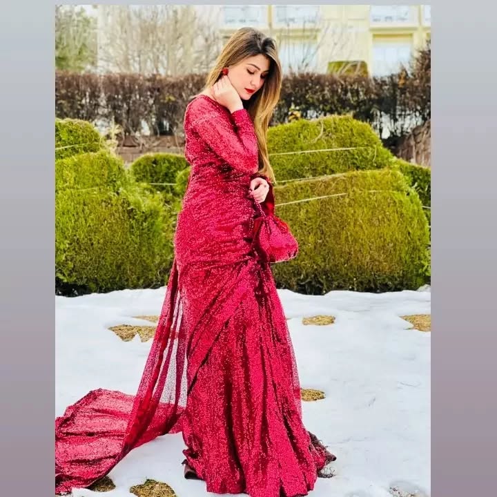 Snowdrop Maroon sequin net saree in portrait pose with fitted blouse and draped pallu by Anabiyawear