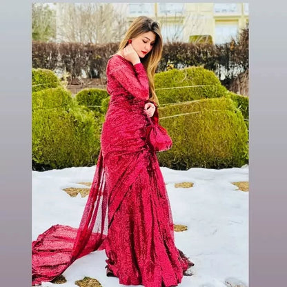 Snowdrop Maroon sequin net saree in portrait pose with fitted blouse and draped pallu by Anabiyawear
